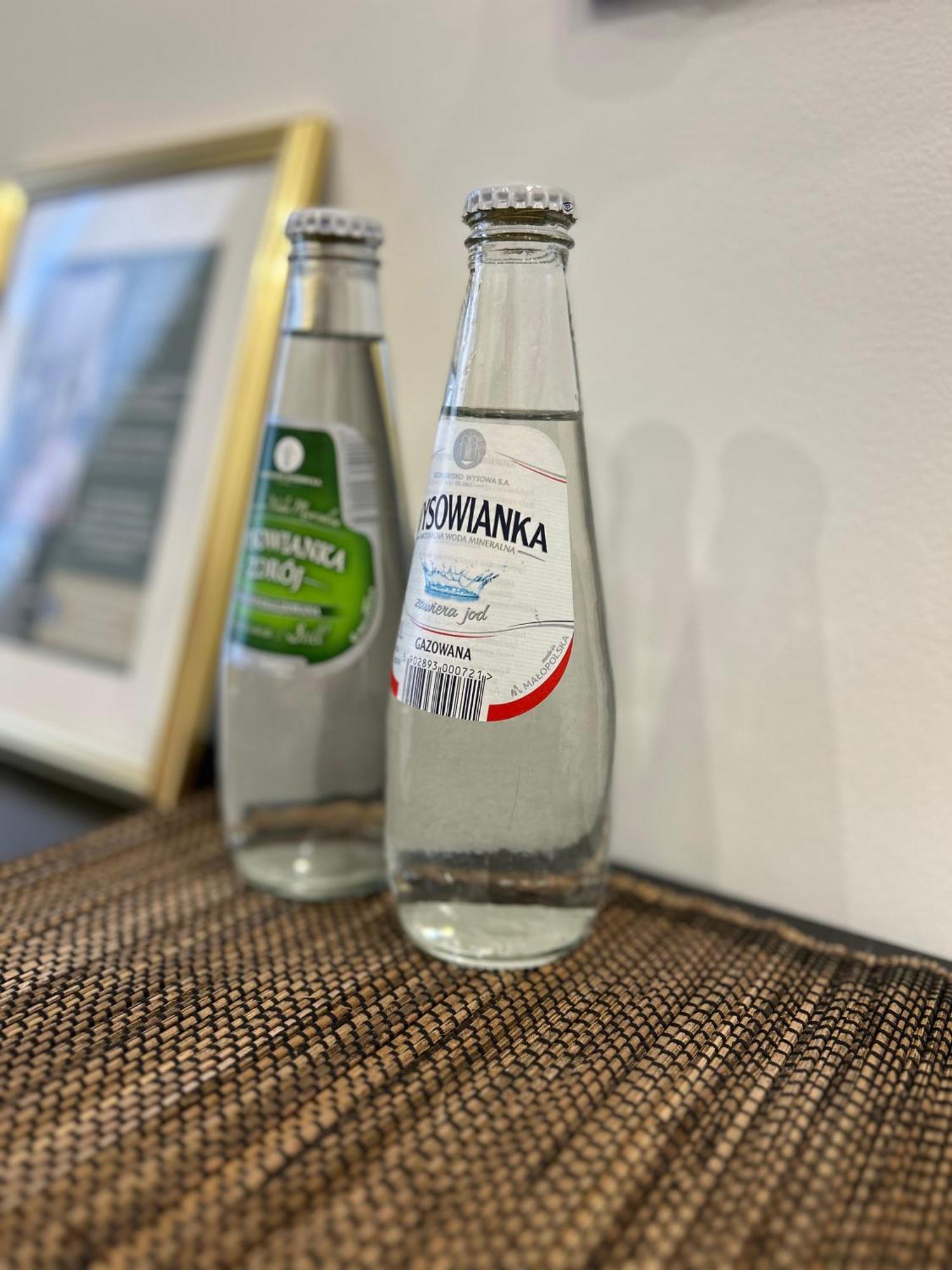 Apartament Krasinskiego プシェムィシル エクステリア 写真